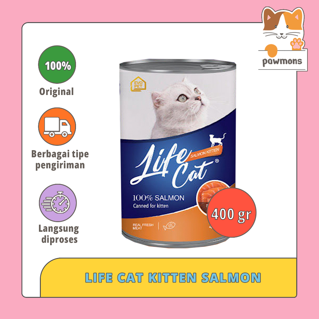 Jual Life Cat Salmon Kitten Gr Wet Food Kaleng Shopee Indonesia