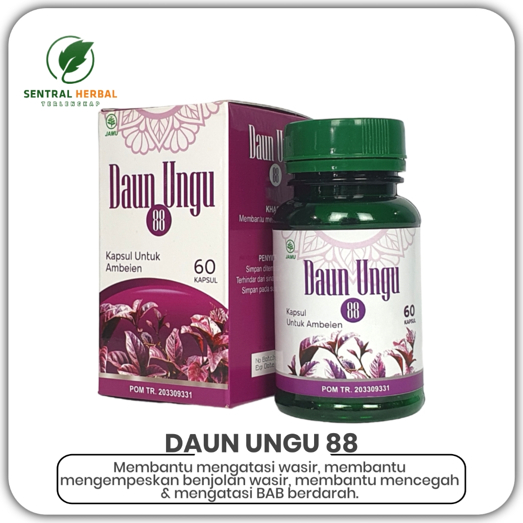 Jual Kapsul Daun Ungu 88 Herbal 21 Untuk Ambeien Wasir Isi 60 Kapsul