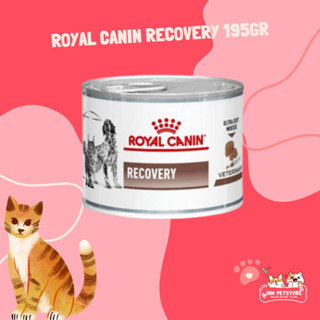 Royal canin outlet recovery harga