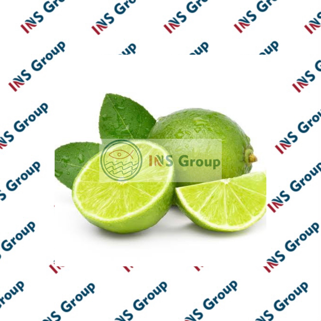 Jual Jeruk Nipis 100gr / Jeruk Nipis Segar | Shopee Indonesia