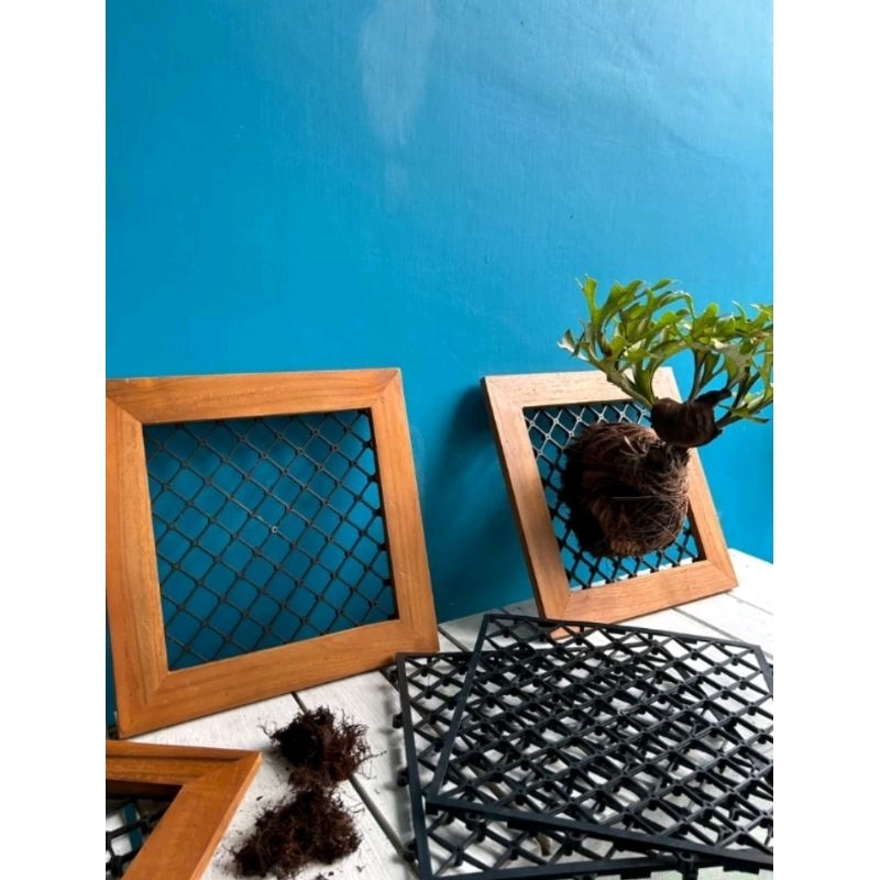 Jual papan plati/frame+drinase/35x35.platycerium/papan simbar jati ...