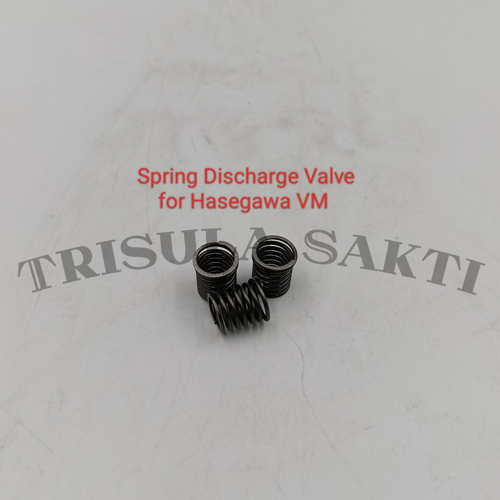 Jual Spring Discharge Valve for Hasegawa VM | Shopee Indonesia