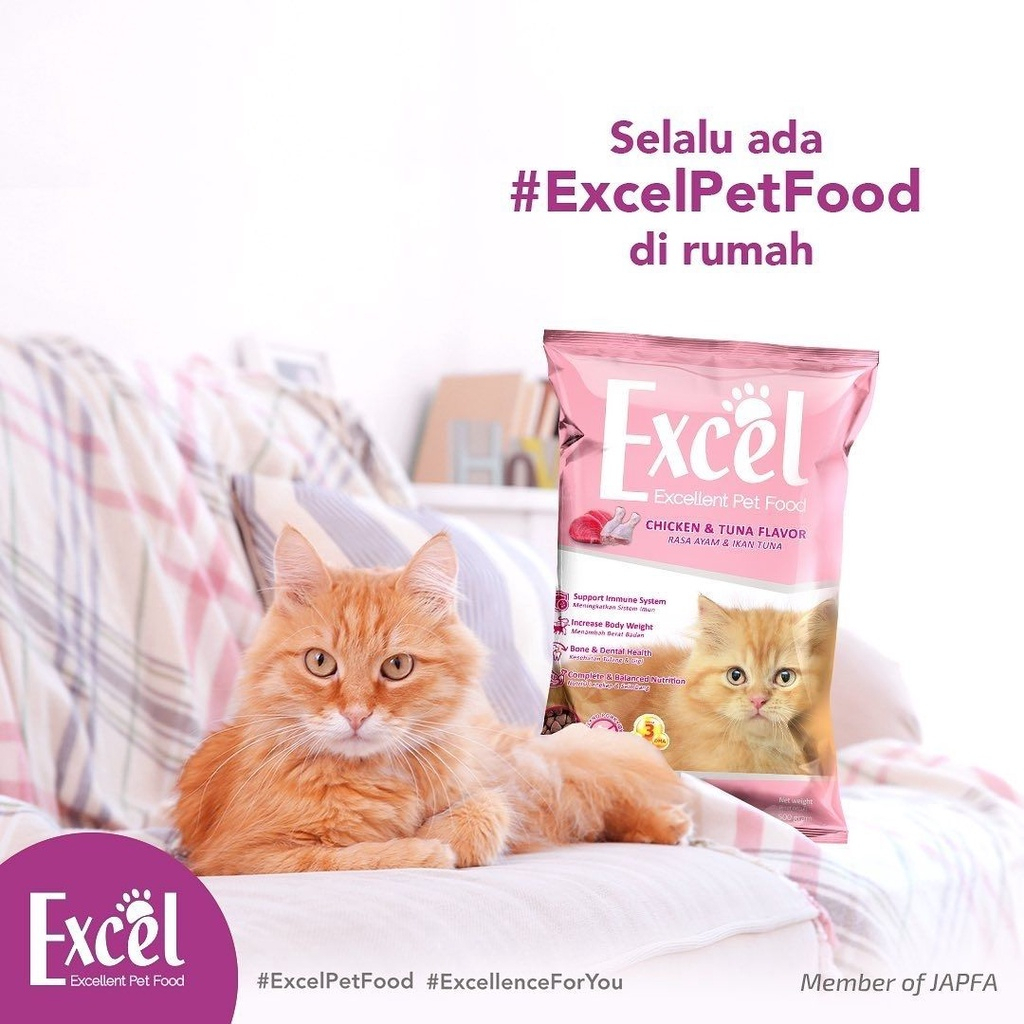 Jual EXCEL KITTEN Dryfood // PAKAN KUCING KITTEN | Shopee Indonesia