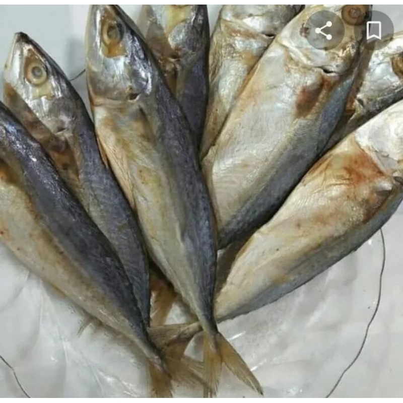 Jual ikan asin pedah 250gr | Shopee Indonesia
