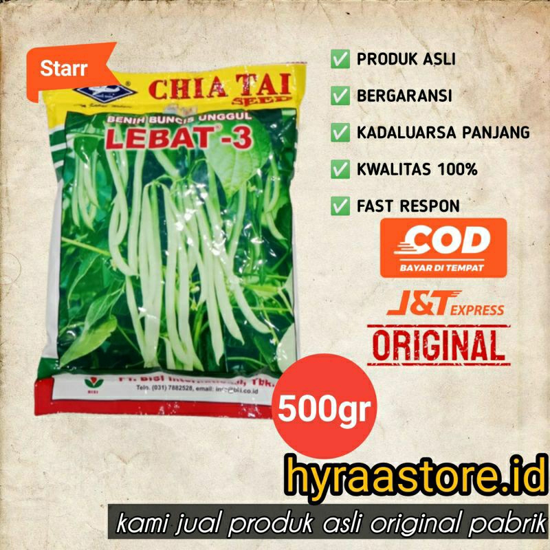 Jual Benih Buncis Lebat Gram Kadaluarsa Shopee Indonesia