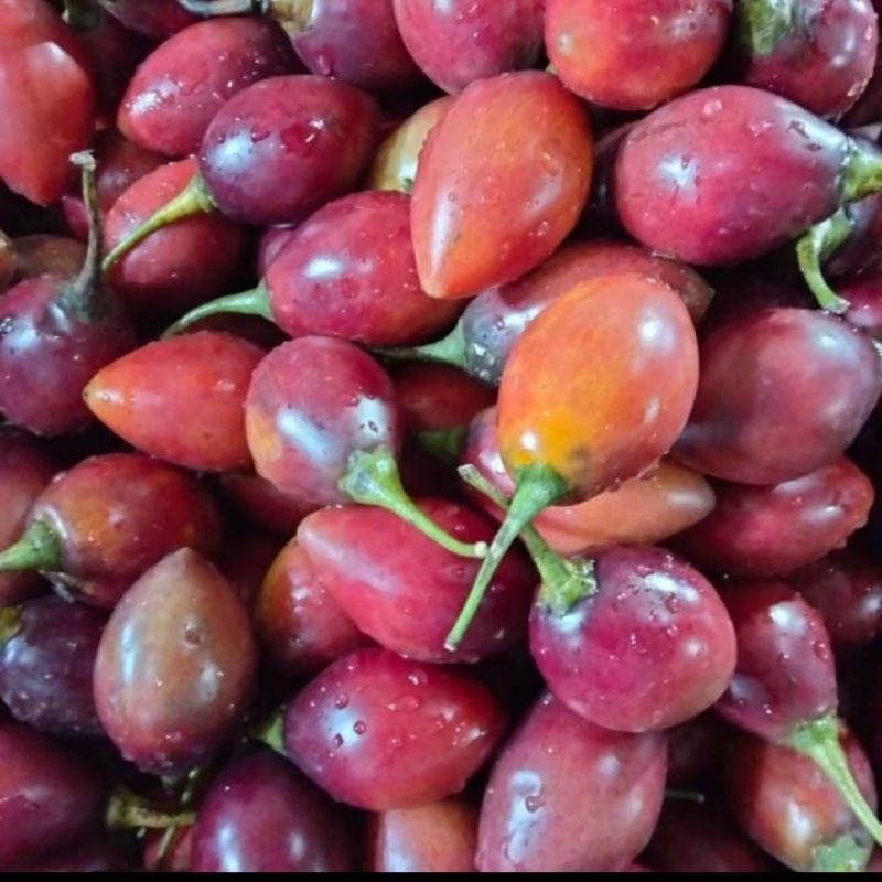 Jual Terong Belanda Fresh 500 gram | Shopee Indonesia
