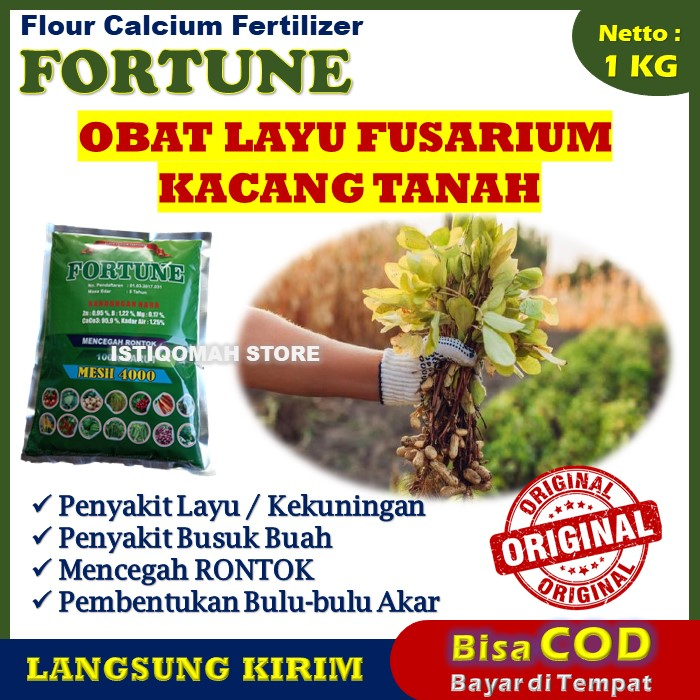 Jual 100 Ampuh Cod Pupuk Kalsium Fortune 1 Kg Obat Semprot Mengendalikan Penyakit Layu 