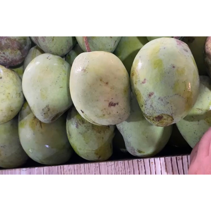Jual MANGGA CENGKIR 1KG | BUAH SEGAR BANDUNG | WARUNG CEU ENGKAY ...