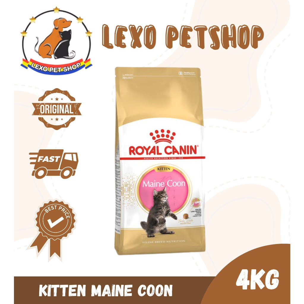 Royal canin maine coon kitten 4 kg hotsell