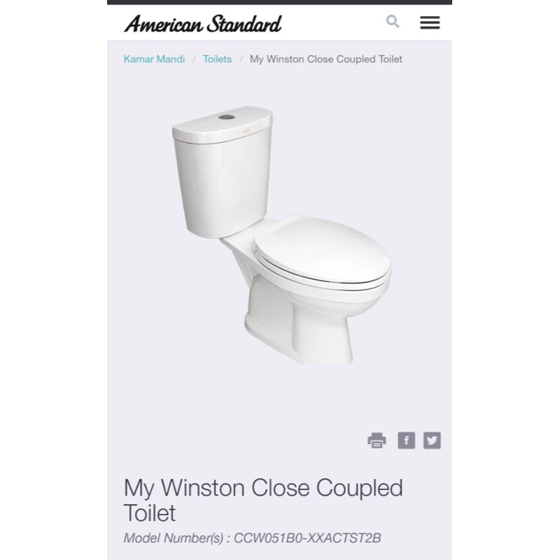 Jual Closet Duduk American Standard / Amstard Single Flush / Dual Flush