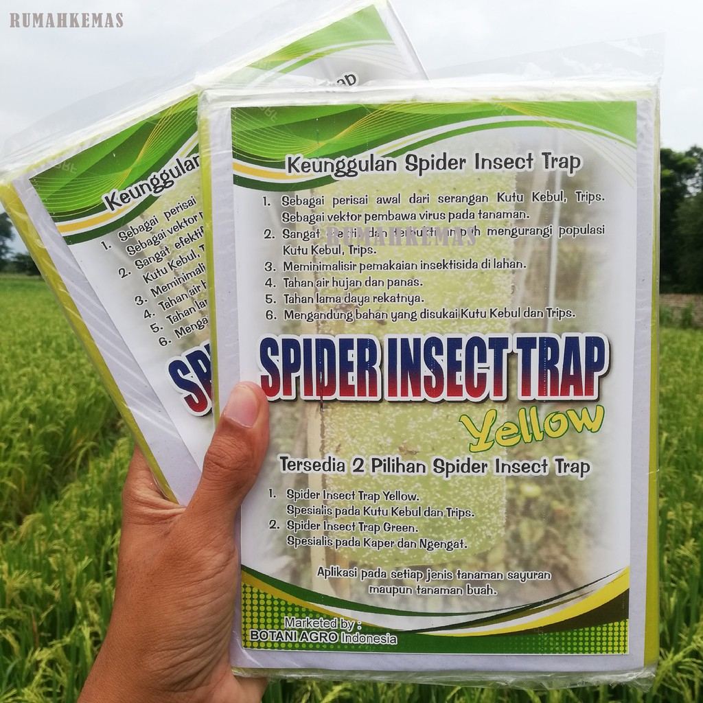 Jual Spider Insect Trap Isi Lembar Yellow Trap Lem Perangkap Hama Kutu Kebul Thrips Kaper