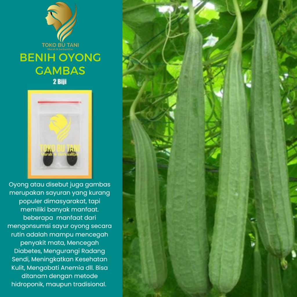 BTN Benih Oyong Sayuran Rambat Gambas Unggul Benih Bibit Sayuran Berkualitas