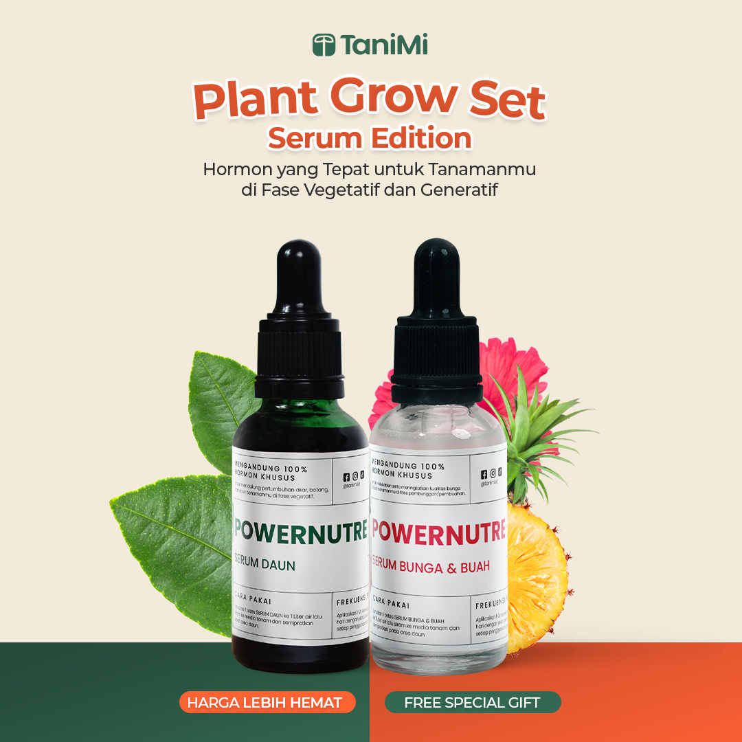 Jual TANIMI - [2 PCS] BUNDLING Hormon Penguat Akar & Penumbuh Tunas dan ...