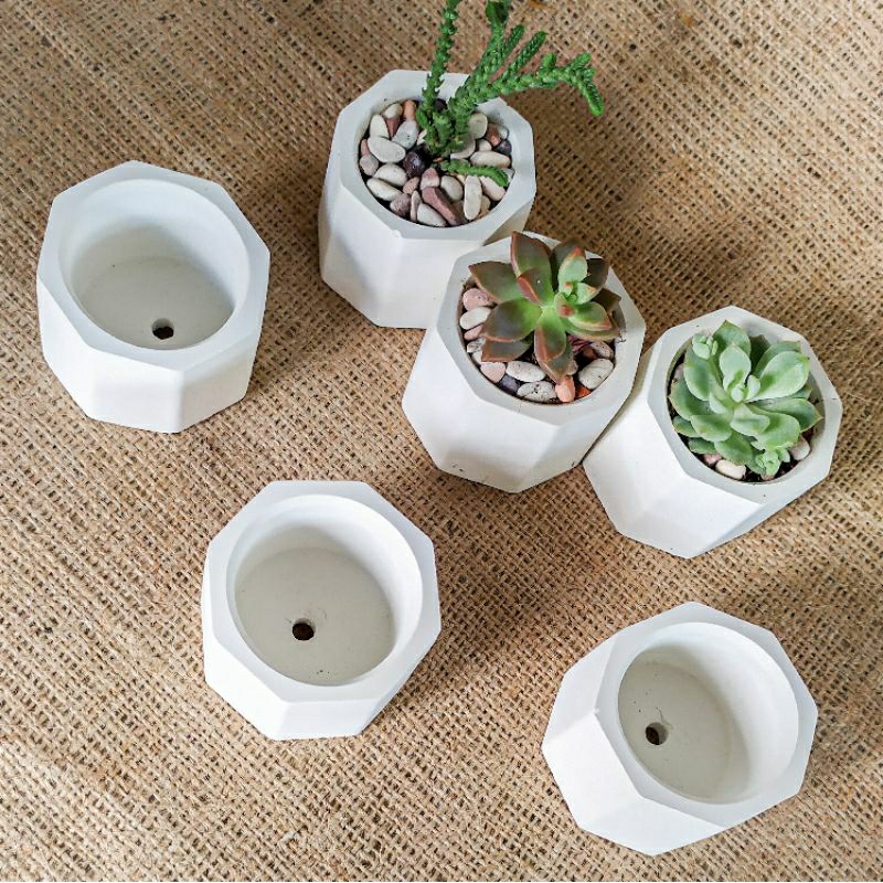Jual POT MINI | POT SEMEN | POT KAKTUS SUKULEN | POT LILIN | POT ...