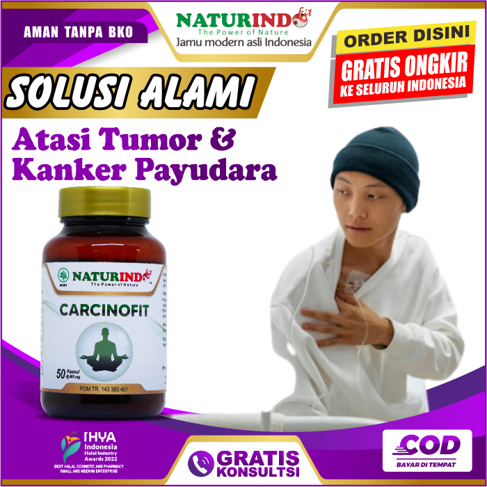 Jual Carcinofit Obat Benjolan Payudara Tumor Payudara Kanker Payudara