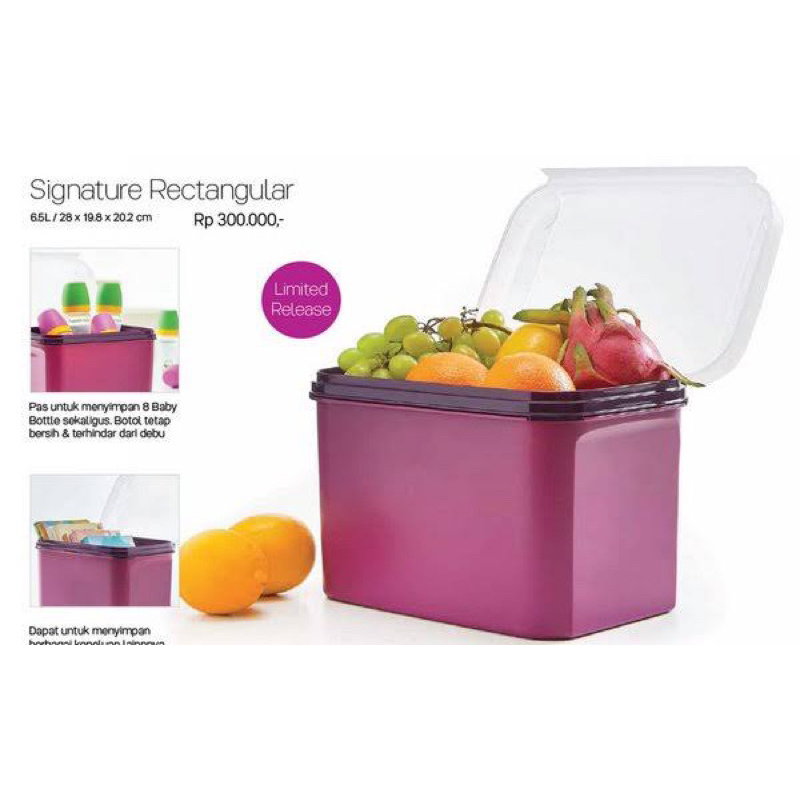 Jual Tupperware Signature Regtangular Tempat Penyimpanan Buah Makanan ...