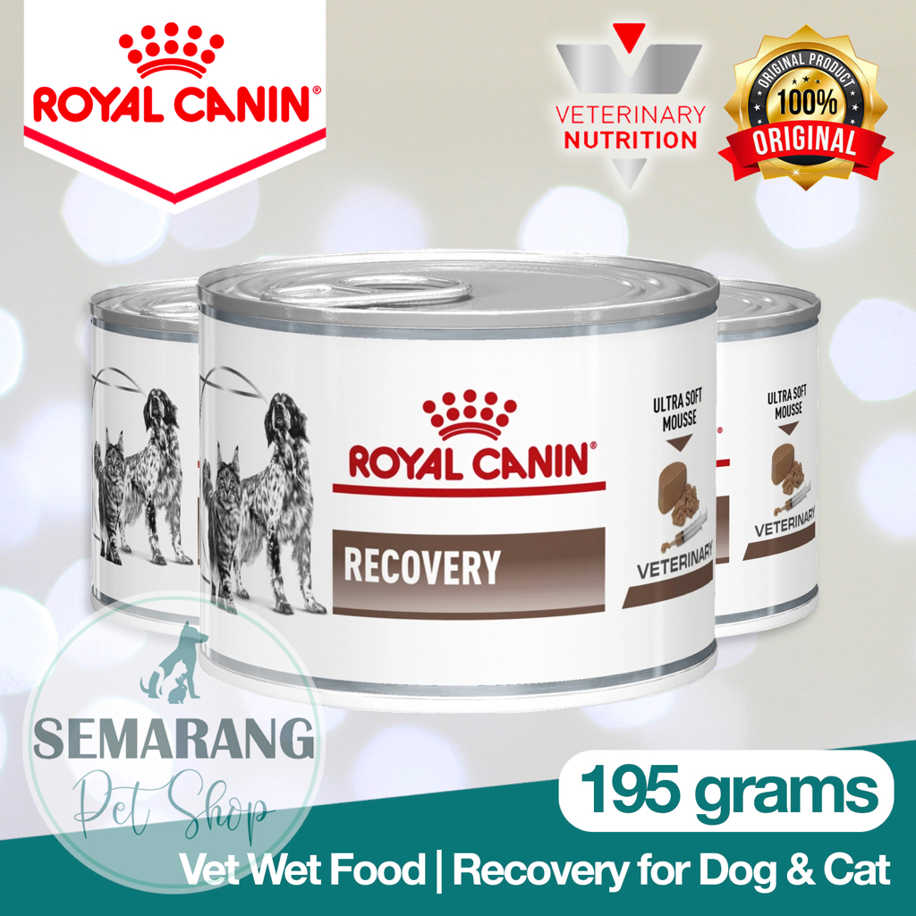 Jual ROYAL CANIN VET Recovery 195gr Cat Dog Wet Food Makanan Basah Kaleng Anjing Kucing Veterinary RC Vet Pet Hewan Dokter Hewan Mousse Pemulihan Sakit Shopee Indonesia