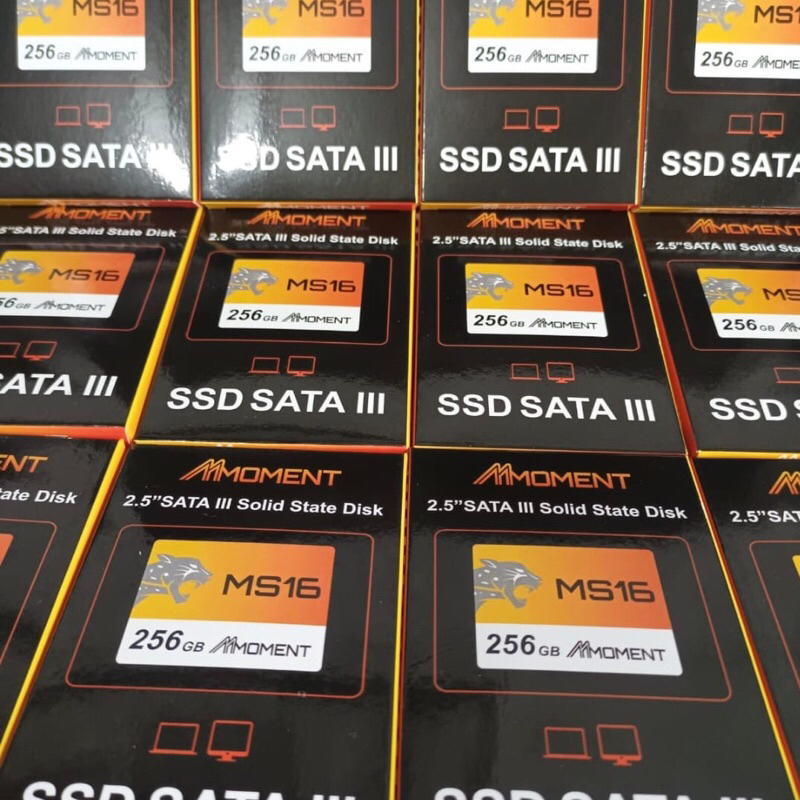 Jual SSD Moment MS16 256GB Made in Taiwan | Shopee Indonesia