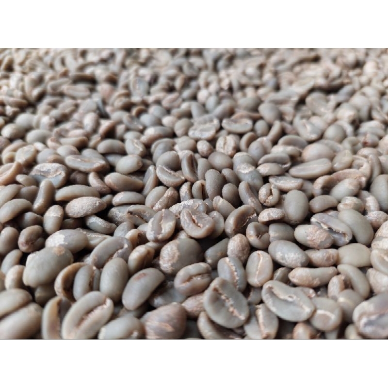 Jual Sunda Wangi | Green Beans Kopi Arabika Sindoro Fullwashed ...