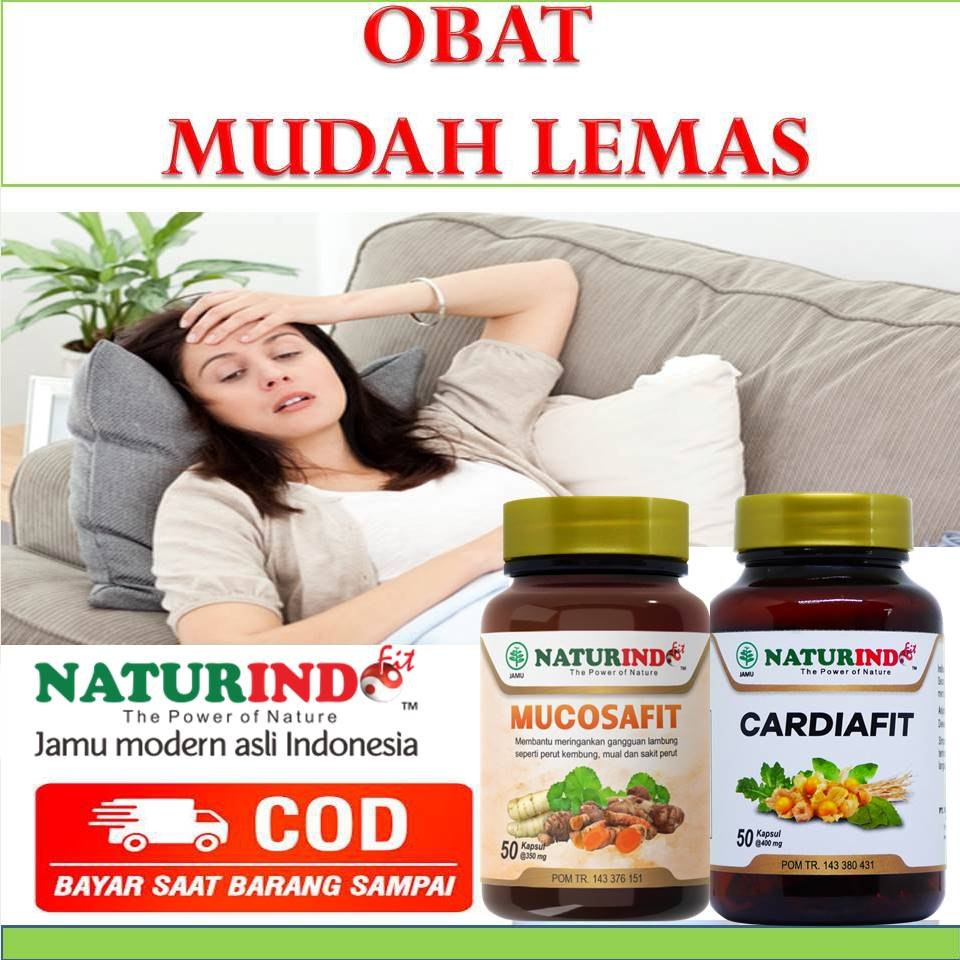 Jual Obat Mudah Lemas Obat Keringat Dingin Mudah Pingsan Mudah Lelah