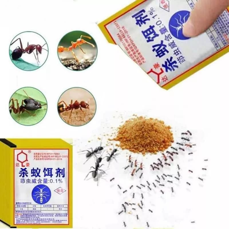 Jual Racun Semut Racun Semut Paling Ampuh Racun Semut Merah Racun Semut ...