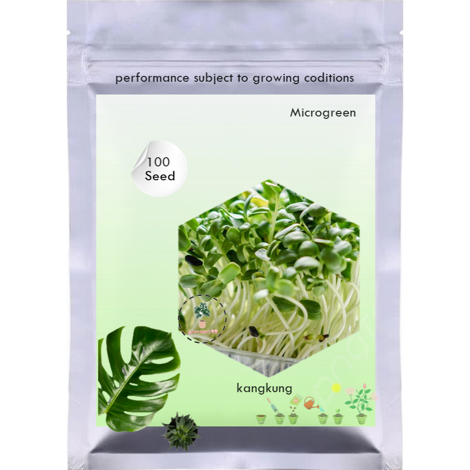 Jual 10 Benih Microgreen Kangkung Sprout Panen 10 Hari Bibit Tanaman