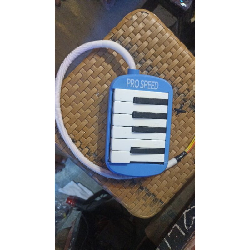 Jual paket lengkap Basuri V4 + modul moreno air horn + pianika