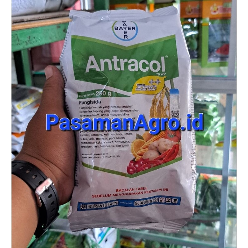 Jual Fungisida Antracol Wp Zinc Gram Shopee Indonesia