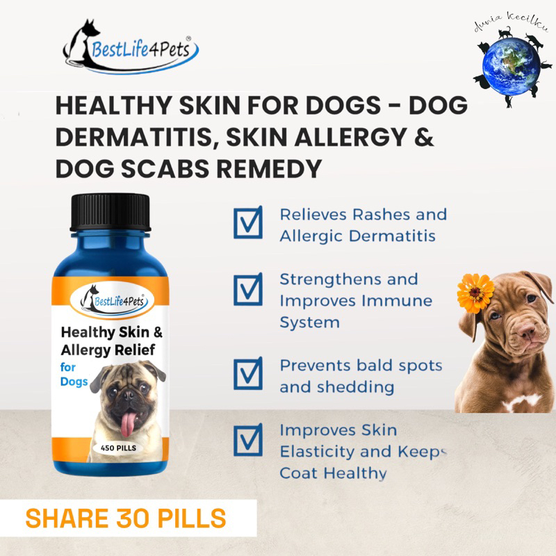 Jual Bestlife Healthy Skin & Coat For Dogs Allergy / Scabies