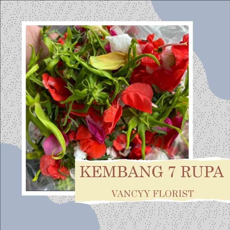 Jual Bunga Tujuh Rupa Terlengkap & Harga Terbaru Juni 2026 | Shopee ...