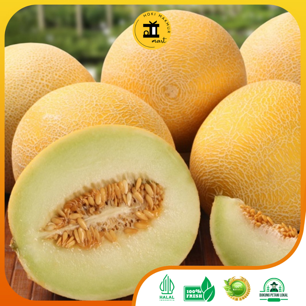 Jual Promo Melon Madu Manis Premium 1 Buah 1 2kg Shopee Indonesia 