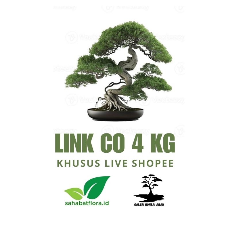 jual-link-co-4-kg-live-shopee-shopee-indonesia