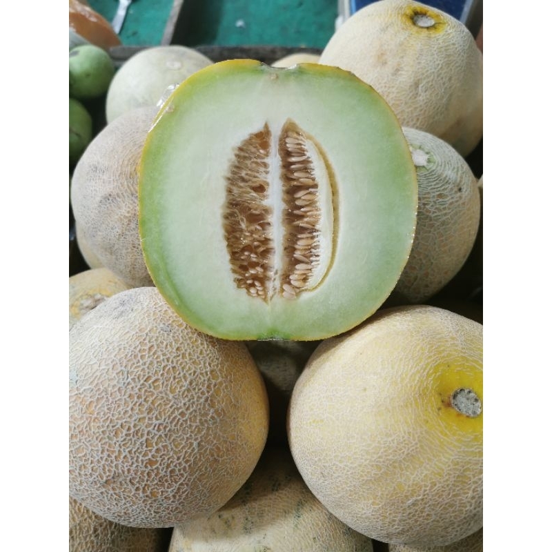 Jual Buah Melon Madu Manis Ukuran 16 Kg Shopee Indonesia 