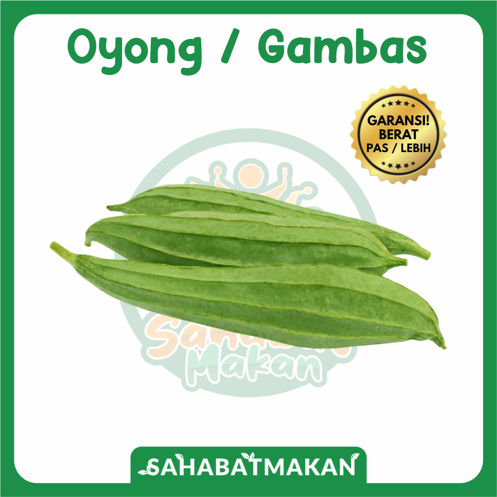 Jual Gambas Oyong — Sahabat Makan Sayur Jogja Shopee Indonesia