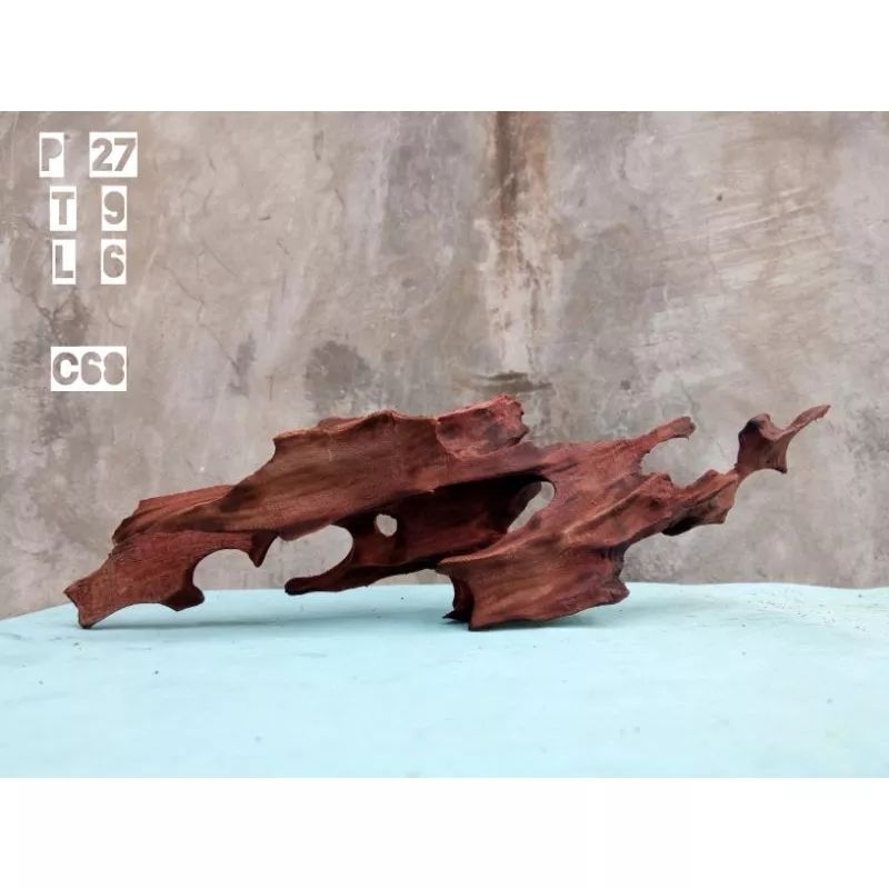 Jual KAYU RENTEK&AKAR RASAMALA aquascape | Shopee Indonesia