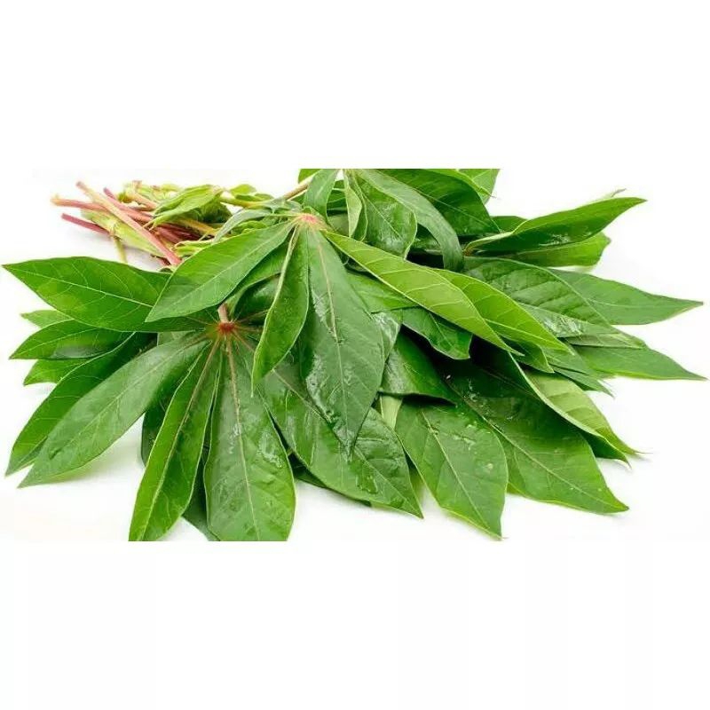 Jual Daun Singkong Segar Daun Singkong Mentah Sayur Daun Singkong