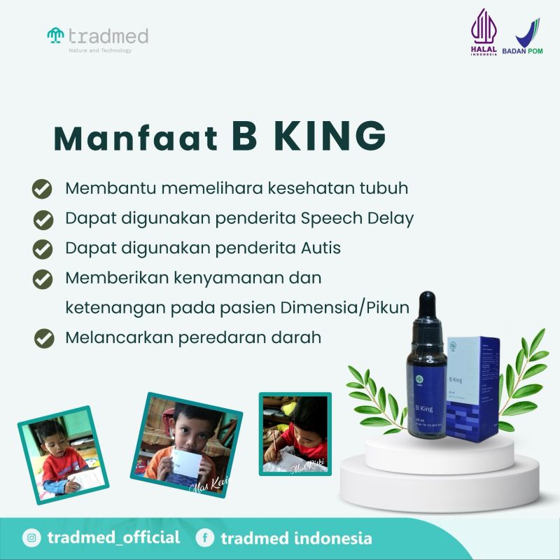 Jual BRAINKING PLUS - BKING - B KING Original NutrisiI Anak Speech ...