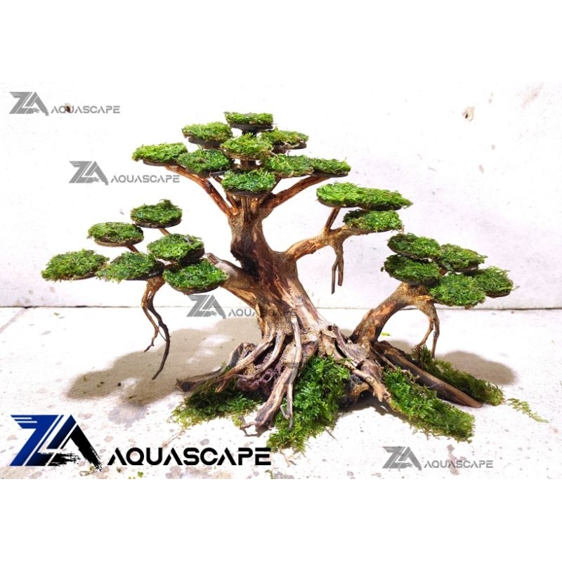 Jual Bonsai Aquarium Bonsai Aquascape hardscape 2025cm Shopee Indonesia