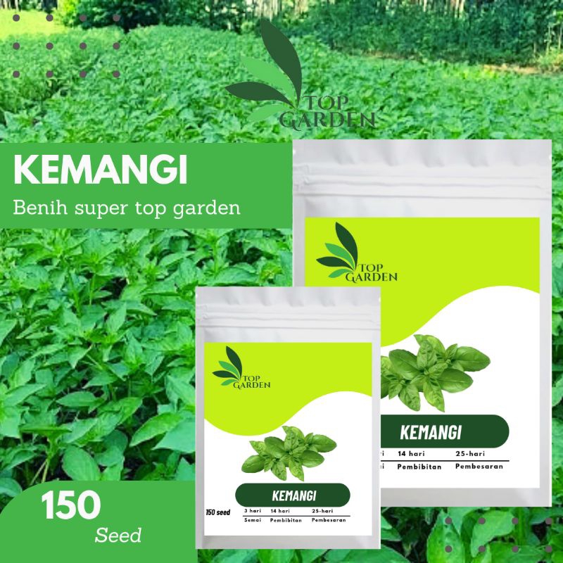 TOP GARDEN BENIH SAYURAN KEMANGI BIBIT SUPER DAUN KEMANGI