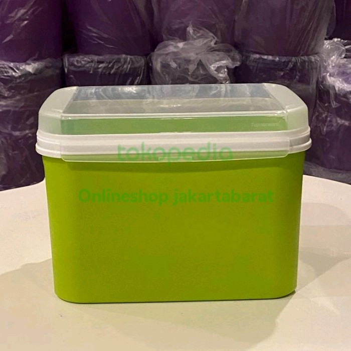 Jual Promo Tupperware Ezy Keeper Rectangular Hijau 6 5l Shopee Indonesia