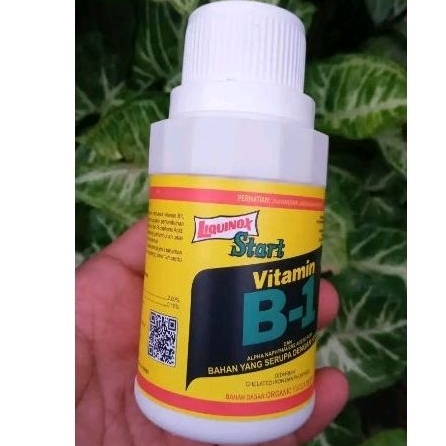 Jual Vitamin Tanaman B1 Untuk Tumbuhan | Shopee Indonesia