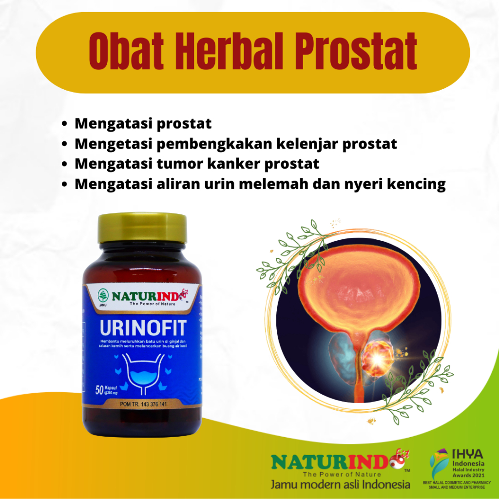 Jual Obat Herbal Prostat Kelenjar Bengkak Pembengkakan Tumor Kanker