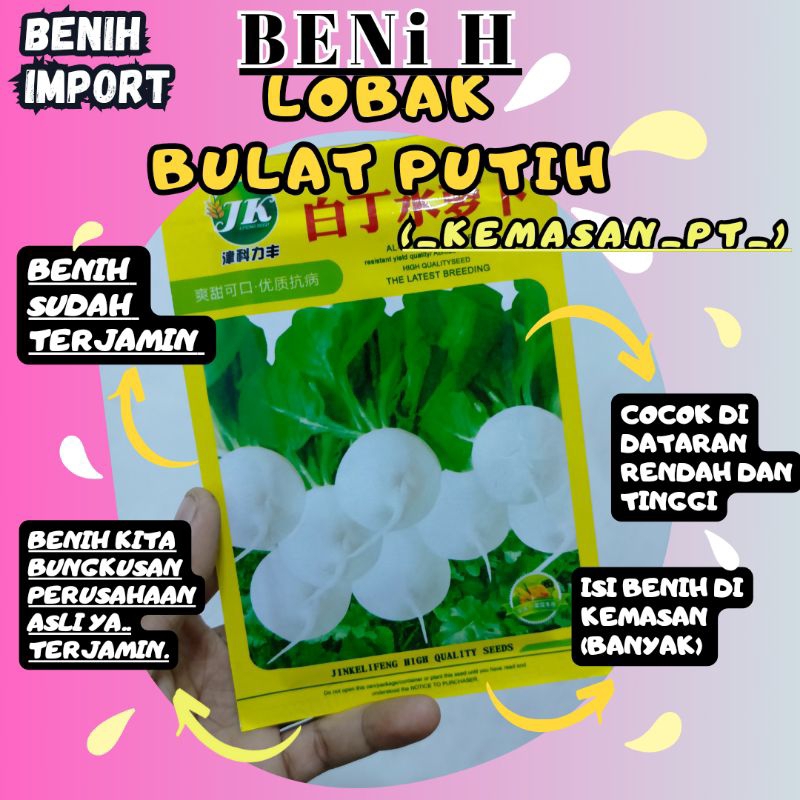 Jual Benih Lobak Bulat Putih Berkualitas Tinggi Shopee Indonesia