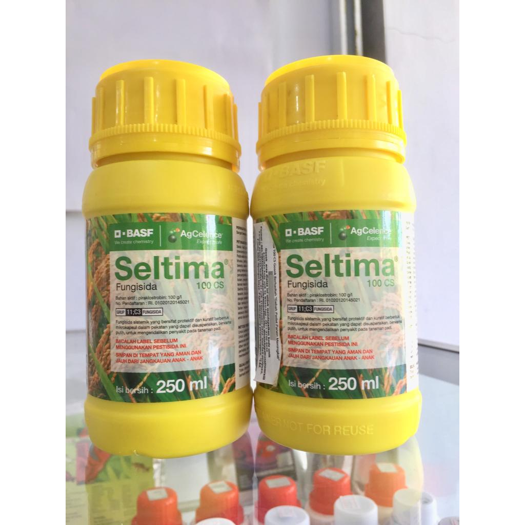 Jual Fungisida Seltima 100 CS Pembasmi Jamur Busuk Leher Padi, Blas ...