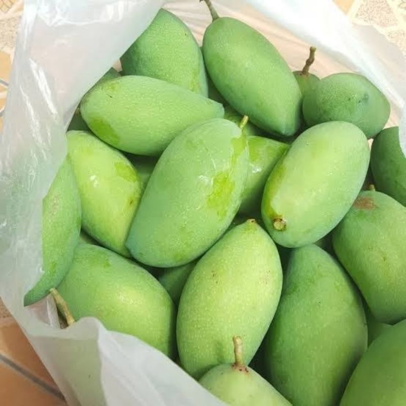 Jual Mangga Muda Mentah Buah Segar Surabaya Makanan Rujak Cemilan