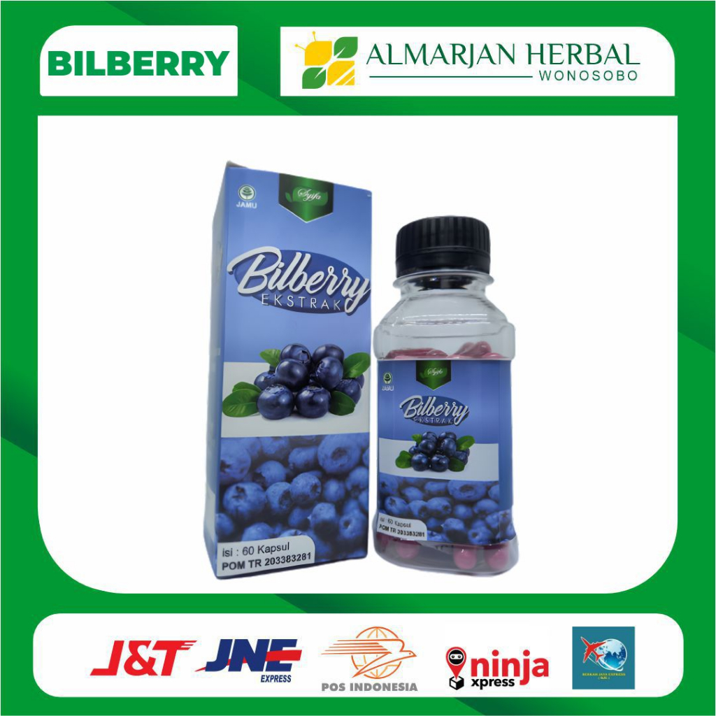 Jual Ekstrak Bilberry Syifa Obat Mata Minus Plus Silinder Katarak Rabun