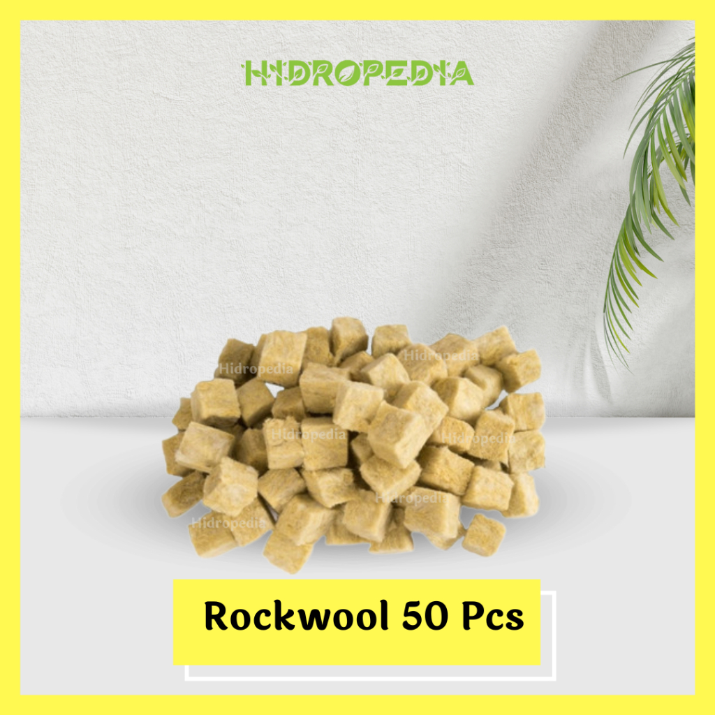 Jual Rockwool Hidroponik Pcs Siap Pakai Media Tanam Hidroponik