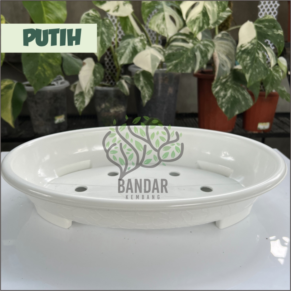 Jual Pot Bibit Bunga Tanaman Hias Bonsai Oval Ukuran Warna Cantik Motif Unik Plant Pots