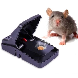 Perangkap Tikus Jebakan Tikus Jepit Automatis Mouse Trap Pest Control | AutoStock