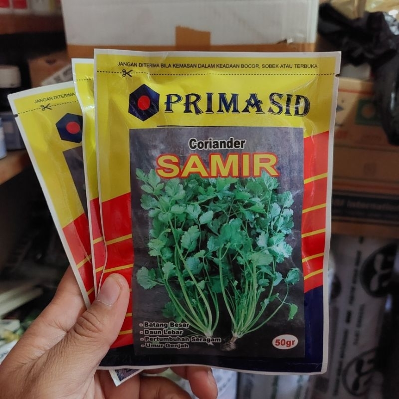 Jual benih Coriander/daun ketumbar SAMIR 50 GR | Shopee Indonesia